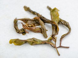 Sheng Pu Erh Gu Shu Mao Cha Da Ye (500-letnie drzewa), ААА, 2023