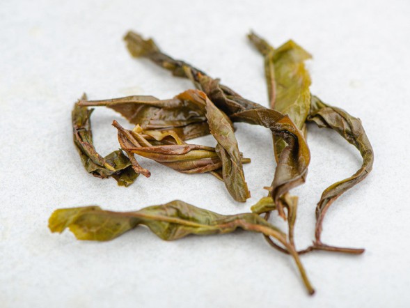 Sheng Pu Erh Gu Shu Mao Cha Da Ye (500-letnie drzewa), ААА, 2023