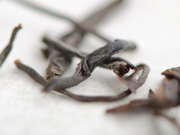 Wai Shan Xiao Zhong (Mały widok z Zewnętrznych gór), A, 2022