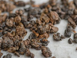 GABA Dark, AАA, 2025