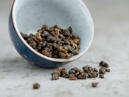 GABA Dark, AАA, 2025