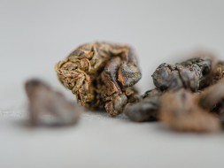 GABA Dark, AАA, 2025