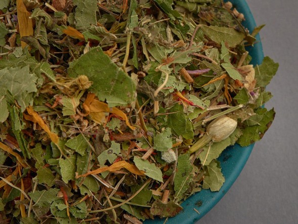 Honey Linden Herb Collection, 2024