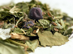 Forest Herb Collection, 2024