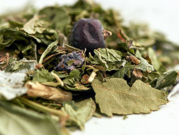 Forest Herb Collection, 2024