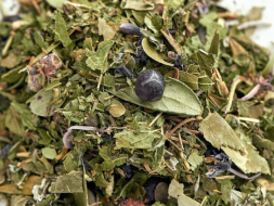 Forest Herb Collection, 2024