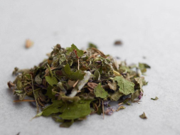 Medicinal Herbs Cape Herb Collection, 2024