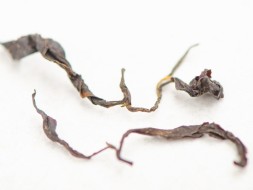 Oolong Czerwony strumień, AA, Gruzja, 2024