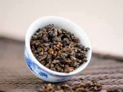 GABA Karmelowa, AAA, 2025