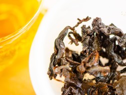 GABA Karmelowa, AAA, 2025