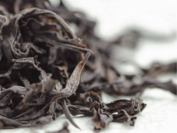 Bai Zhui Xiang Zhong Ho (Biała Dafna o średnim ogrzewaniu), АА, 2022