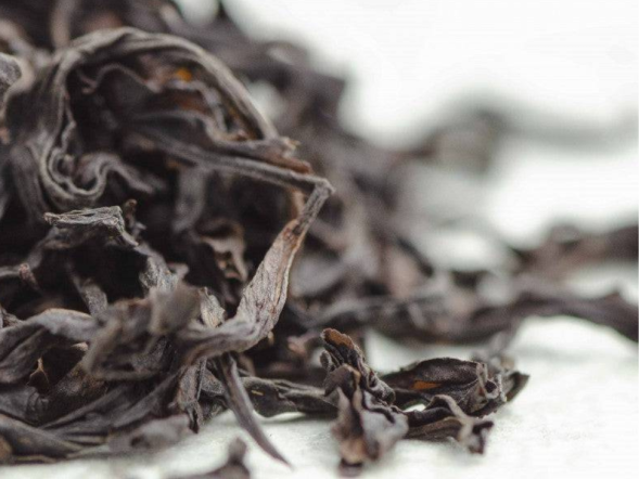 Bai Zhui Xiang Zhong Ho (Biała Dafna o średnim ogrzewaniu), АА, 2022