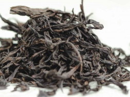 Bai Zhui Xiang Zhong Ho (Biała Dafna o średnim ogrzewaniu), АА, 2022