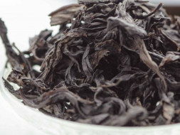 Bai Zhui Xiang Zhong Ho (Biała Dafna o średnim ogrzewaniu), АА, 2022