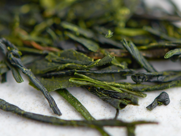 Gyokuro, AAA, 2024