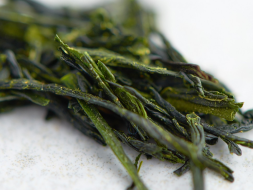 Gyokuro, AAA, 2024