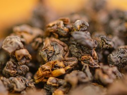 GABA Dziki miód, AAA, 2025