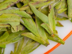 Wu Nu Zao Lun Jing, AAA, wiosna 2025