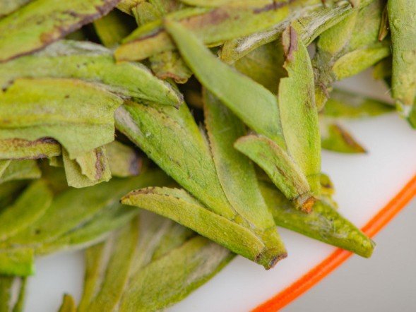 Wu Nu Zao Lun Jing, AAA, wiosna 2025