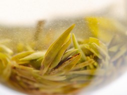 Wu Nu Zao Lun Jing, AAA, wiosna 2025