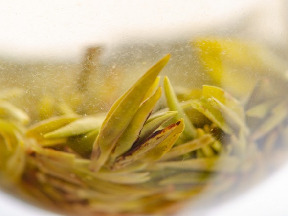 Wu Nu Zao Lun Jing, AAA, wiosna 2025