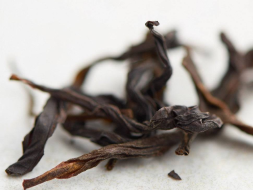 Wudong Dan Cong (Pojedyncze krzewy z wulkanu Wudong), AAA, 2025