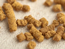 Ku Qiao Mai (Light Buckwheat Tea), A, 2024