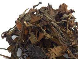 Simao Shou Mei (Brwi starca), А, 2025