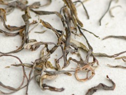 Sheng Pu Erh Suhu Organic, AAA, 2023