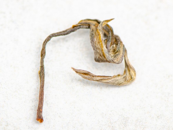 Sheng Pu Erh Suhu Organic, AAA, 2023