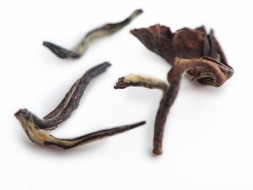 Dong Fang Mei Zhen (Orientalna piękność), AA, 2025