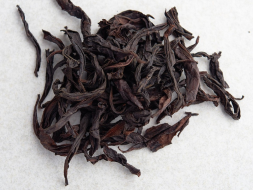 Bai Zhui Xiang (Biała Dafna), ААA, 2022