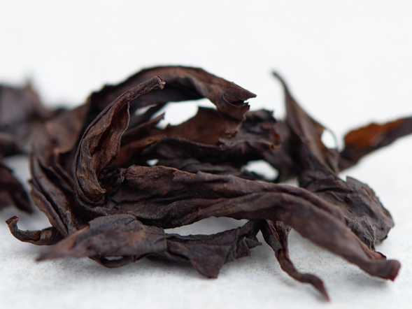 Bai Zhui Xiang (Biała Dafna), ААA, 2022