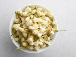 Moli Hua (Płatki jaśminu), 2024