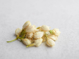 Moli Hua (Płatki jaśminu), 2024