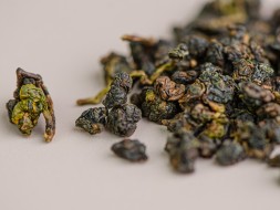 GABA Lishan Dzika orchidea, ААА, 2025