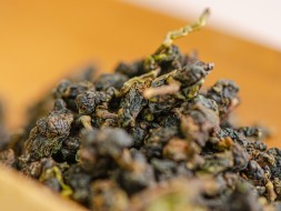 GABA Lishan Dzika orchidea, ААА, 2025