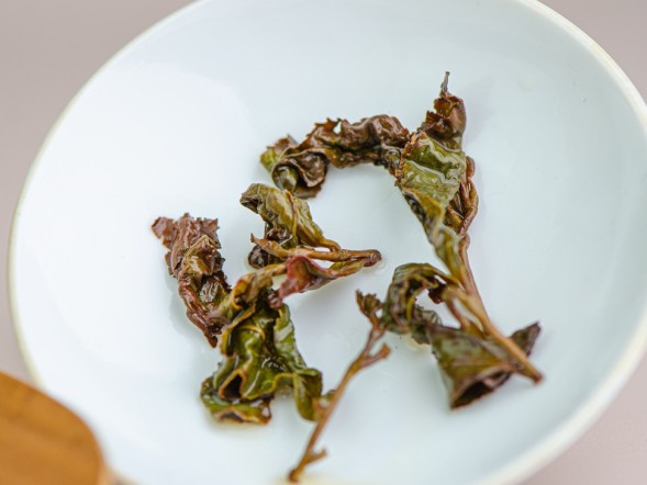 GABA Lishan Dzika orchidea, ААА, 2025