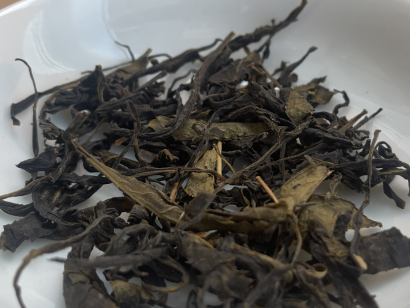 Herbata zielona Holenderskie lato, A, 2021