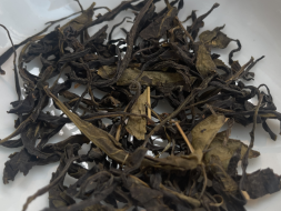 Herbata zielona Holenderskie lato, A, 2021