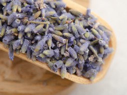 Kwiaty lawendy, AAA, 2024