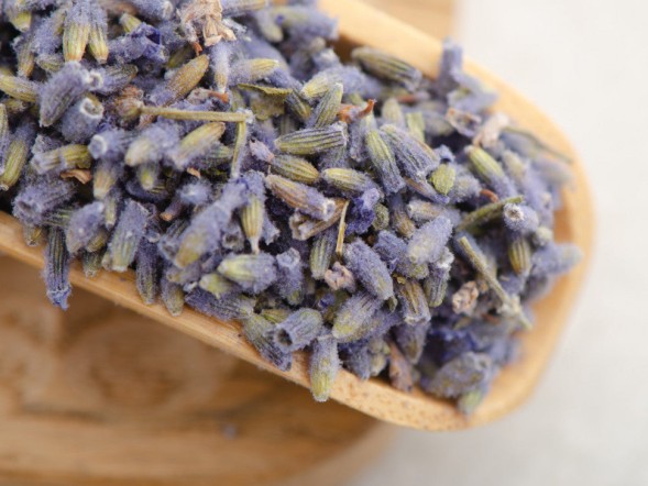 Kwiaty lawendy, AAA, 2024