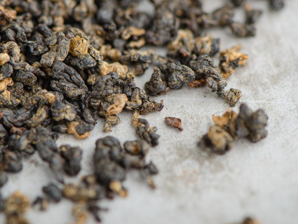 GABA Atomic Peach Edition, AAA, 2025