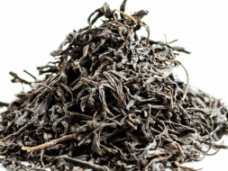 Jiu Do Zi Dan Cong (Pojedyncze krzewy z ostro ząbkowanymi liśćmi), AAA, 2025