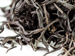 Jiu Do Zi Dan Cong (Pojedyncze krzewy z ostro ząbkowanymi liśćmi), AAA, 2025