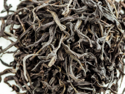 Jiu Do Zi Dan Cong (Pojedyncze krzewy z ostro ząbkowanymi liśćmi), AAA, 2025