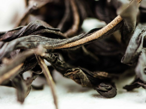 Jiu Do Zi Dan Cong (Pojedyncze krzewy z ostro ząbkowanymi liśćmi), AAA, 2025