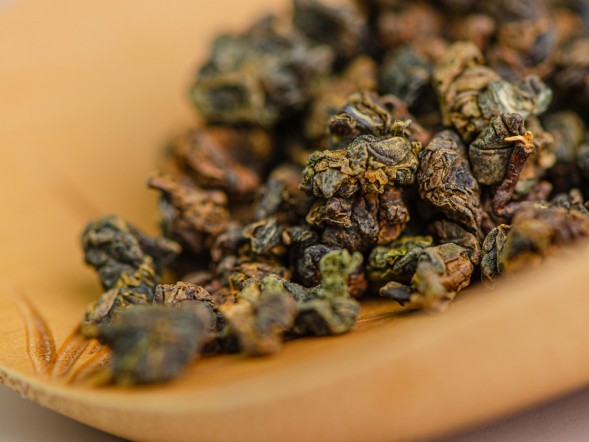 GABA Tropic, AAA, 2025