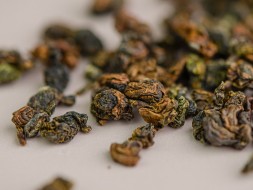 GABA Tropic, AAA, 2025