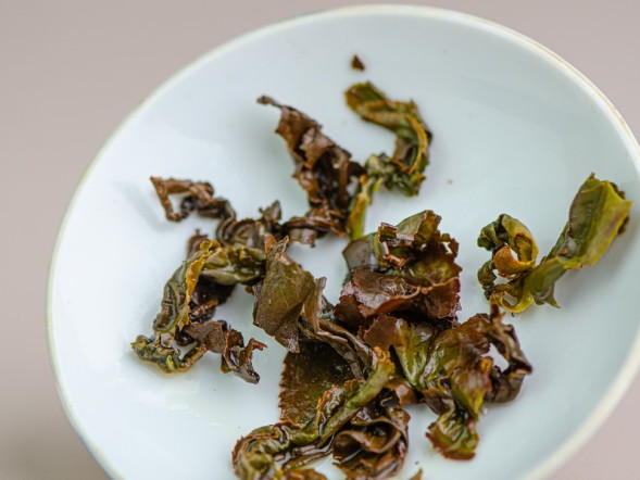 GABA Tropic, AAA, 2025